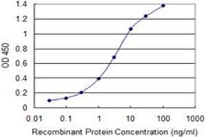 Detection limit for recombinant GST tagged DCLK1 is 0. (DCLK1 anticorps  (AA 640-729))