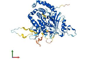 AlphaFold protein structure predicition of Mouse Recombinant Msto1 Protein, UniprotID Q2YDW2