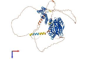 AlphaFold protein structure predicition of Human Recombinant ASPH Protein, UniprotID Q12797