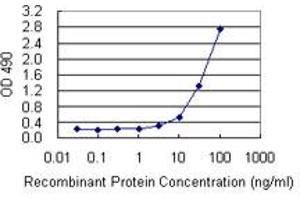 Sandwich ELISA detection sensitivity ranging from 3 ng/mL to 100 ng/mL.