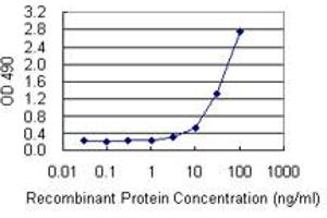 Sandwich ELISA detection sensitivity ranging from 3 ng/mL to 100 ng/mL. (LTBR (Humain) Matched Antibody Pair)