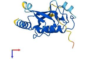 AlphaFold protein structure predicition of Human Recombinant UBE2W Protein, UniprotID Q96B02