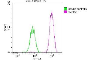 Overlay histogram showing HepG2 cells stained with ABIN7127664 (red line) at 1:50. (Recombinant PAK2 anticorps)