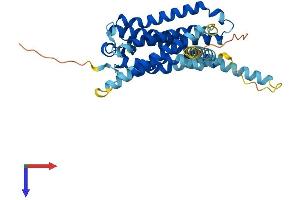 AlphaFold protein structure predicition of Human Recombinant GPR21 Protein, UniprotID Q99679