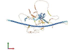 AlphaFold protein structure predicition of Mouse Recombinant Ppp1r9b Protein, UniprotID Q6R891