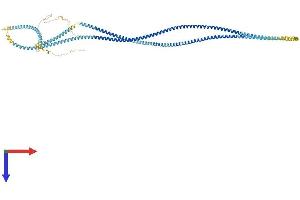 AlphaFold protein structure predicition of Mouse Recombinant Hmmr Protein, UniprotID Q00547