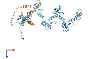 AlphaFold protein structure predicition of Human Recombinant ZNF486 Protein, UniprotID Q96H40