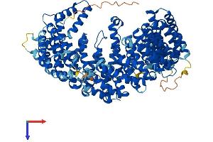 AlphaFold protein structure predicition of Human Recombinant IPO13 Protein, UniprotID O94829
