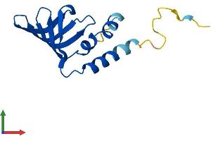 AlphaFold protein structure predicition of Human Recombinant LSM10 Protein, UniprotID Q969L4