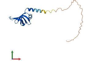 AlphaFold protein structure predicition of Human Recombinant LSM4 Protein, UniprotID Q9Y4Z0