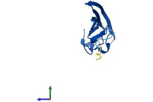 AlphaFold protein structure predicition of Mouse Recombinant Churc1 Protein, UniprotID Q6DG52