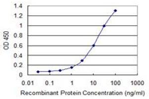 Detection limit for recombinant GST tagged IGSF6 is 0. (IGSF6 anticorps  (AA 29-241))