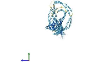 AlphaFold protein structure predicition of Mouse Recombinant Rad50 Protein, UniprotID P70388