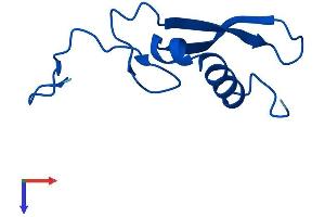 AlphaFold protein structure predicition of Human Recombinant RPS21 Protein, UniprotID P63220