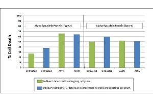 Toxicity results comparing Active Human Recombinant Alpha Synuclein Pre-formed Fibrils (Type 2) (Catalog No. (SNCA Protein (full length))