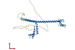 AlphaFold protein structure predicition of Human Recombinant HMG20A Protein, UniprotID Q9NP66