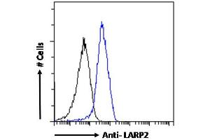 ABIN190867 Flow cytometric analysis of paraformaldehyde fixed HepG2 cells (blue line), permeabilized with 0. (LARP1B anticorps  (Internal Region))