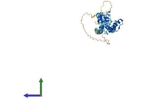 AlphaFold protein structure predicition of Human Recombinant RNF32 Protein, UniprotID Q9H0A6