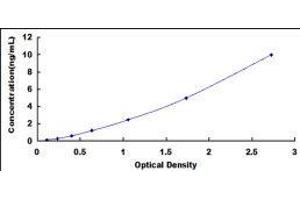 ELISA image for Plasmalemma Vesicle Associated Protein (PLVAP) ELISA Kit (ABIN422981)