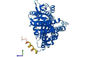 AlphaFold protein structure predicition of Mouse Recombinant Tubb6 Protein, UniprotID Q922F4