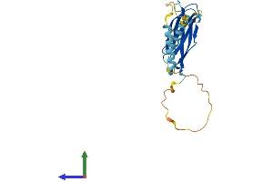 AlphaFold protein structure predicition of Human Recombinant MOSPD3 Protein, UniprotID O75425