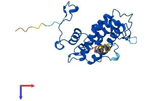 AlphaFold protein structure predicition of Mouse Recombinant Mob4 Protein, UniprotID Q6PEB6