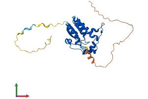 AlphaFold protein structure predicition of Human Recombinant N4BP2L1 Protein, UniprotID Q5TBK1