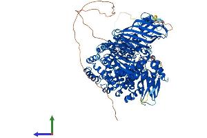 AlphaFold protein structure predicition of Mouse Recombinant Lnpep Protein, UniprotID Q8C129