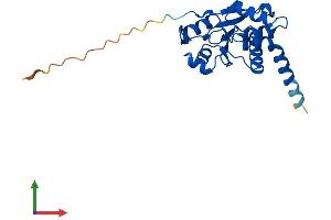 AlphaFold protein structure predicition of Mouse Recombinant Cdkn3 Protein, UniprotID Q810P3