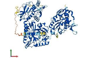 AlphaFold protein structure predicition of Mouse Recombinant Ndst4 Protein, UniprotID Q9EQW8