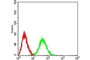 Flow cytometric analysis of BCL11B cells using HeLa mouse mAb (green) and negative control (red).