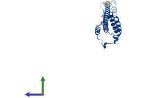 AlphaFold protein structure predicition of Mouse Recombinant Rpl19 Protein, UniprotID P84099