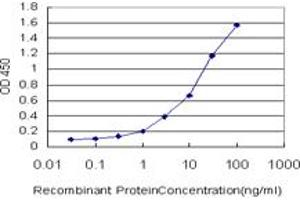 Detection limit for recombinant GST tagged CAMK2B is approximately 0. (CAMK2B anticorps  (AA 1-503))