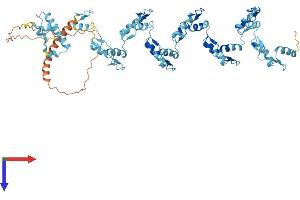 AlphaFold protein structure predicition of Human Recombinant ZNF85 Protein, UniprotID Q03923