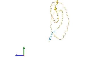 AlphaFold protein structure predicition of Human Recombinant VCX3A Protein, UniprotID Q9NNX9
