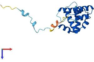 AlphaFold protein structure predicition of Mouse Recombinant Arpc5l Protein, UniprotID Q9D898