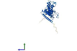 AlphaFold protein structure predicition of Mouse Recombinant Fkbp6 Protein, UniprotID Q91XW8