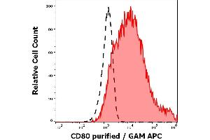 Separation of CD80 transfected P815 cells stained using anti-human CD80 (MEM-233) purified antibody (concentration in sample 1. (CD80 anticorps  (Extracellular Domain))