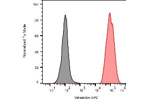 Separation of ESS-1 cells stained using anti-Vimentin (VI-RE/1) APC antibody (concentration in sample 1 μg/mL, red) from unstained ESS-1 cells (black) in flow cytometry analysis (intracellular staining). (Vimentin anticorps  (APC))