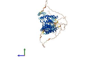 AlphaFold protein structure predicition of Mouse Recombinant Lonrf3 Protein, UniprotID Q9D4H7