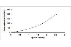 Ceramide Kinase (CERK) ELISA Kit