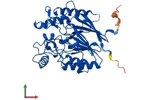 AlphaFold protein structure predicition of Human Recombinant ADPRM Protein, UniprotID Q3LIE5