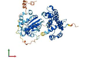 AlphaFold protein structure predicition of Human Recombinant ARHGAP1 Protein, UniprotID Q07960