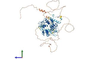 AlphaFold protein structure predicition of Human Recombinant ZNF778 Protein, UniprotID Q96MU6