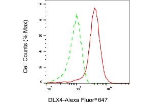 Flow cytometric analysis of DLX4 expression in HAP-1 cells using DLX4 antibody (ABIN7798358), 1:2,000). (Recombinant DLX4 anticorps)