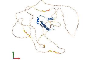 AlphaFold protein structure predicition of Mouse Recombinant Mef2a Protein, UniprotID Q60929
