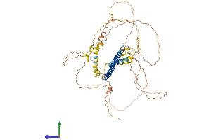 AlphaFold protein structure predicition of Mouse Recombinant Creb3l1 Protein, UniprotID Q9Z125