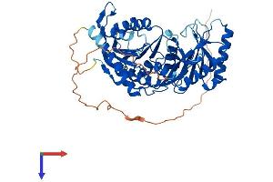 AlphaFold protein structure predicition of Mouse Recombinant Trmt2b Protein, UniprotID Q8BQJ6