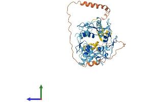 AlphaFold protein structure predicition of Human Recombinant ZNF141 Protein, UniprotID Q15928