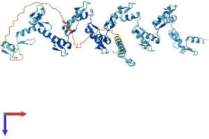 AlphaFold protein structure predicition of Human Recombinant ZNF791 Protein, UniprotID Q3KP31